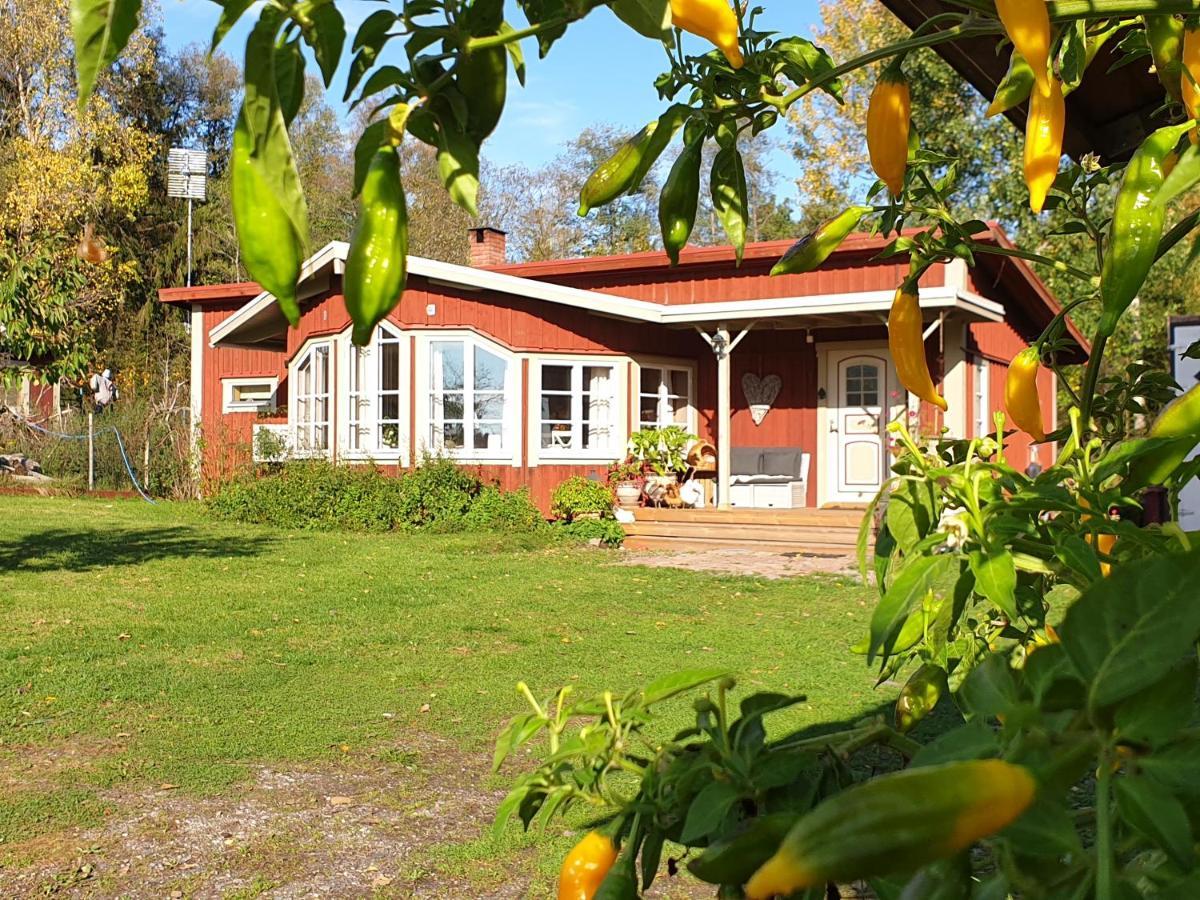 فيلا Spiragarden Glanshammar المظهر الخارجي الصورة