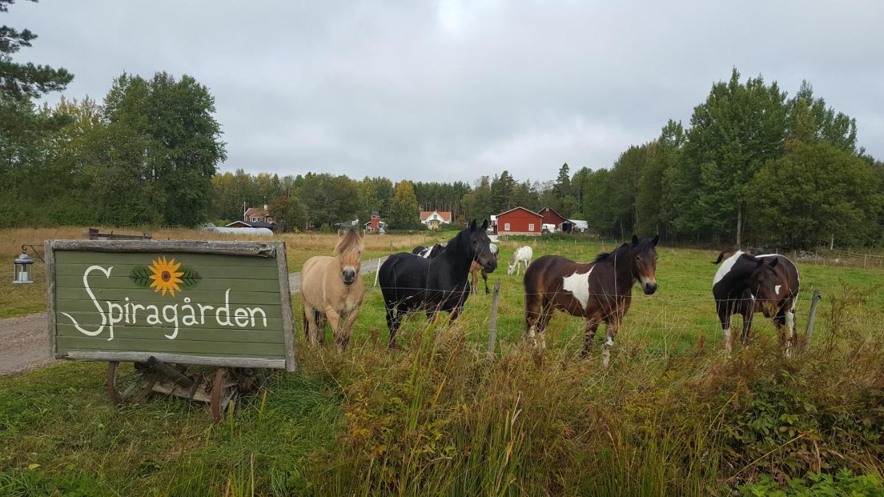 فيلا Spiragarden Glanshammar المظهر الخارجي الصورة